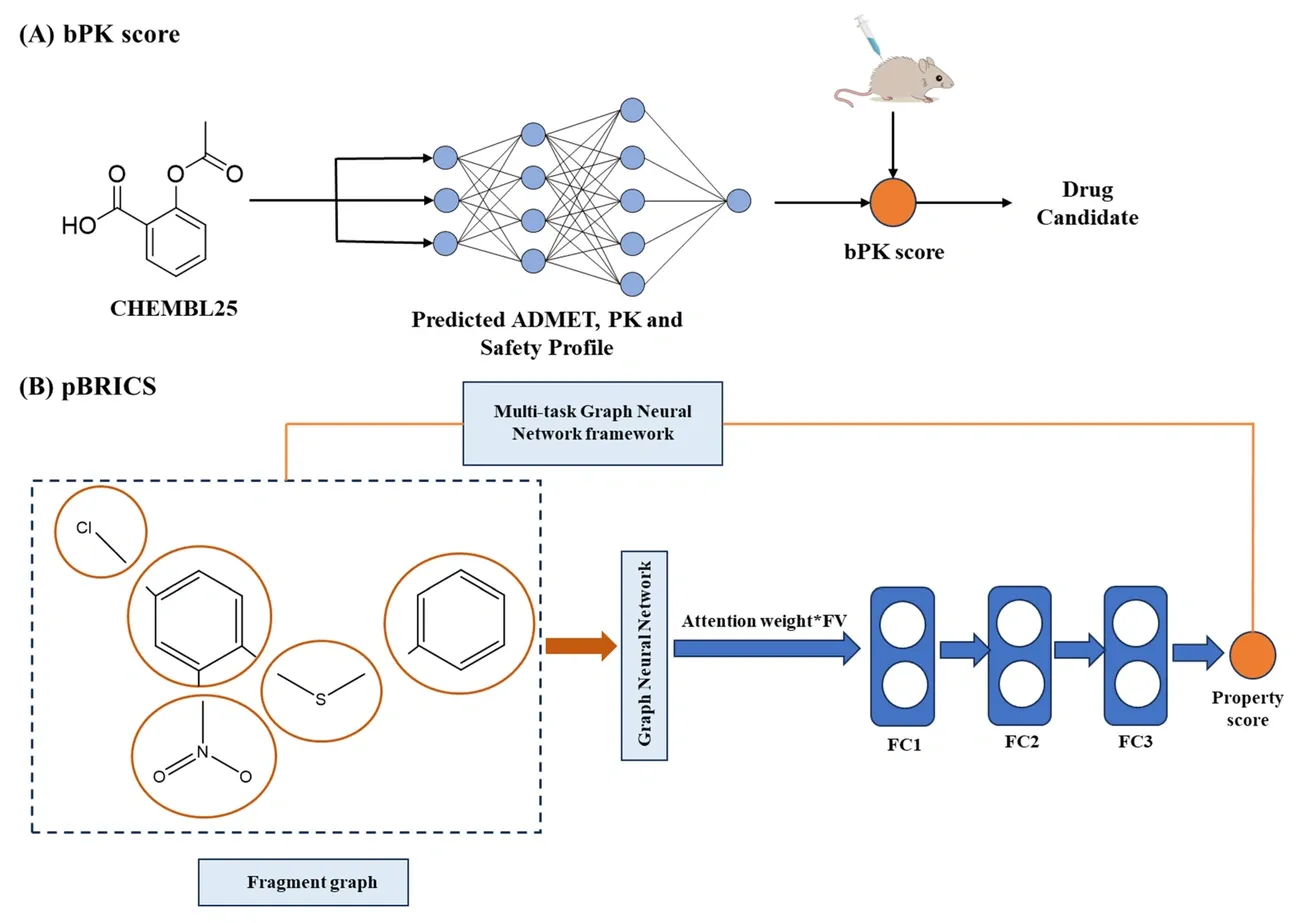 Diagram showing AI models predicting drug bPK scores and pBRICS fragment-based property scores for drug candidate evaluation.